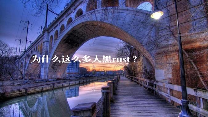 为什么这么多人黑rust?