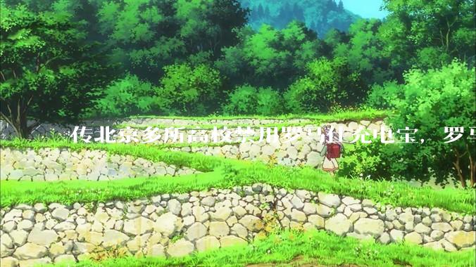 传北京多所高校禁用罗马仕充电宝，罗马仕称交由法务部门进行跟进，这到底是怎么回事？