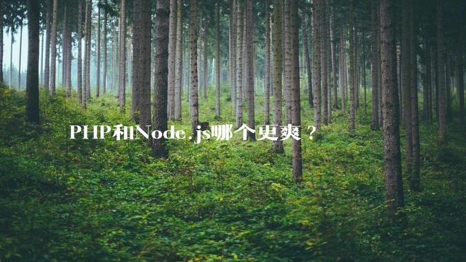PHP和Node.js哪个更爽?