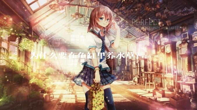 为什么要在鱼缸里养水草？