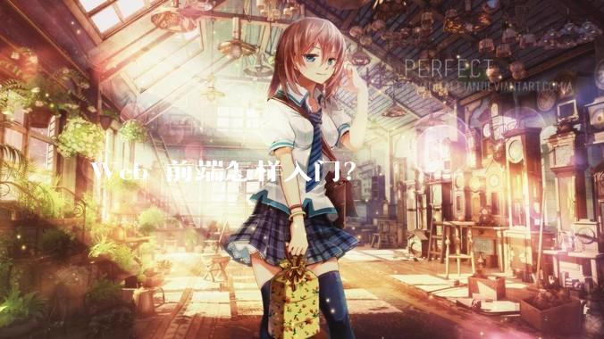 Web 前端怎样入门？