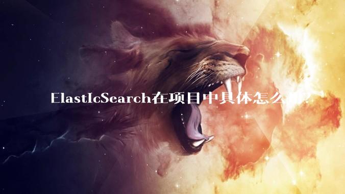 ElasticSearch在项目中具体怎么用？