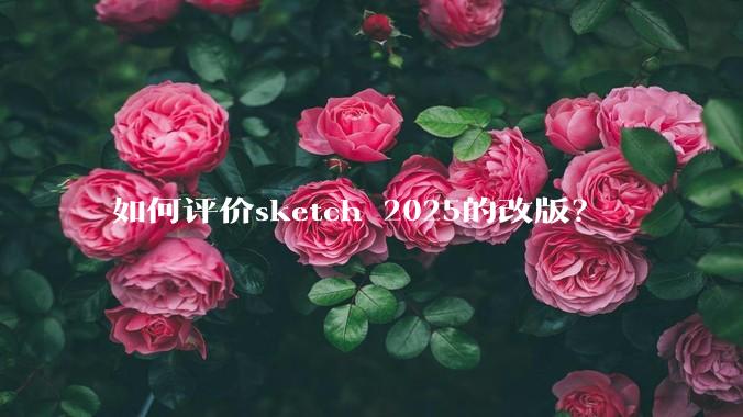 如何评价sketch 2025的改版？