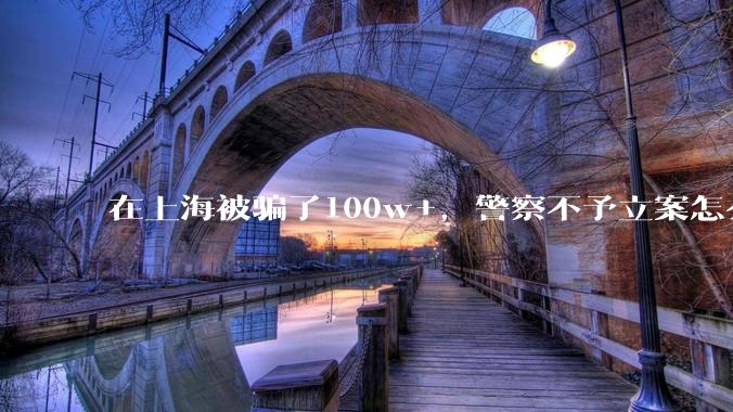 在上海被骗了100w+，警察不予立案怎么办？