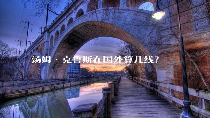 汤姆·克鲁斯在国外算几线？