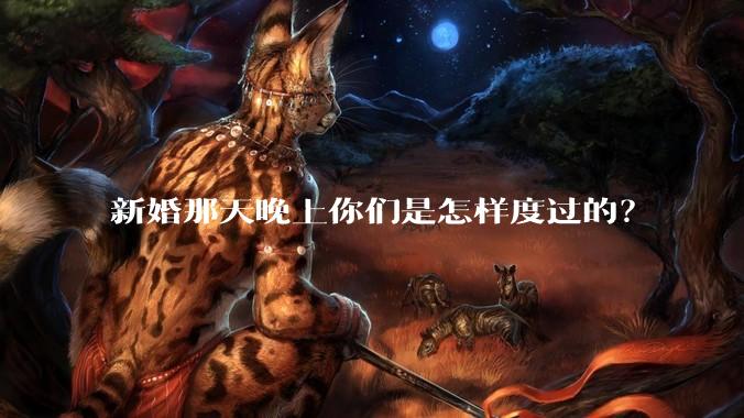 新婚那天晚上你们是怎样度过的？
