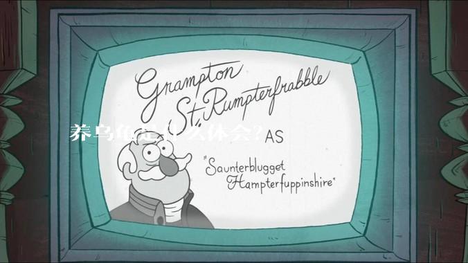 养乌龟是什么体会？