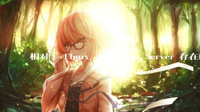 相对于 Linux，Windows Server 存在的意义是什么？