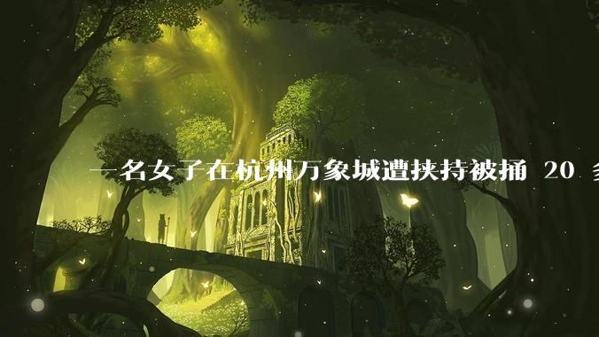 一名女子在杭州万象城遭挟持被捅 20 多刀，隆胸***体救了一命，这反映出哪些公安系统的问题？