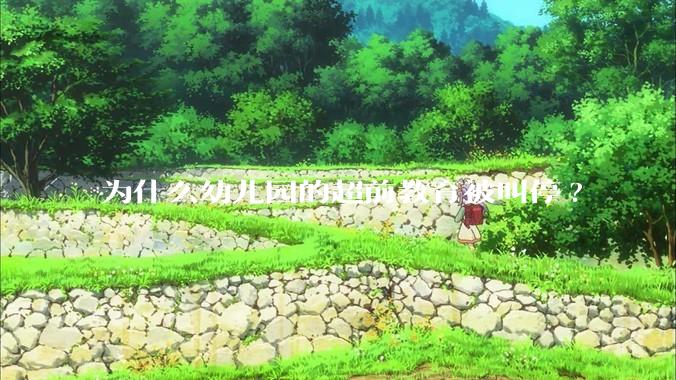 为什么幼儿园的超前教育被叫停?