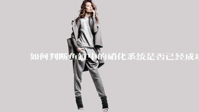 如何判断鱼缸中的硝化系统是否已经成功建立？